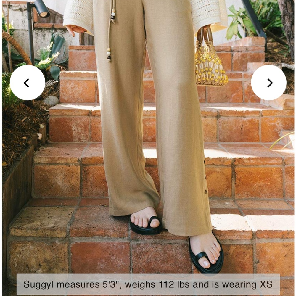 Petite Studio Brown Wide-Leg Pants